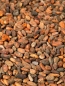 Mobile Preview: Kakaobohnen roh aus Ecuador