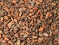 Preview: Kakaobohnen roh von der Elfenbeinküste