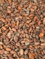 Preview: Kakaobohnen roh von der Elfenbeinküste
