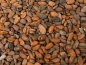 Preview: Geroestete Kakaobohnen aus Indonesien