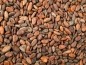 Preview: Geroestete Kakaobohnen von der Elfenbeinküste