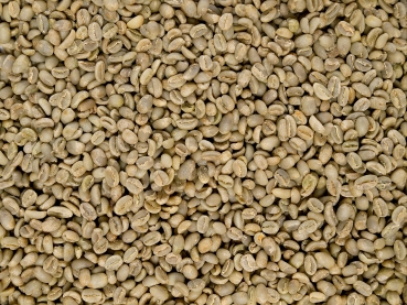 Rohkaffee - Aethiopischer Mocca Sidamo