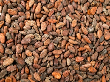 Kakaobohnen roh von der Elfenbeinküste