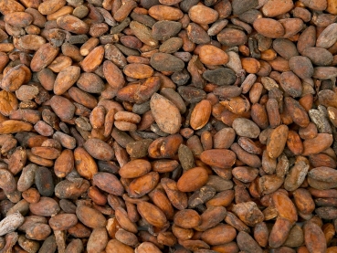 Geroestete Kakaobohnen aus Indonesien