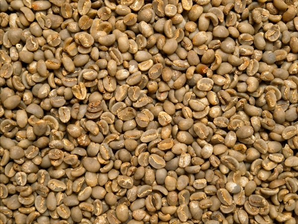 Rohkaffee - Indonesien Sumatra Lintong
