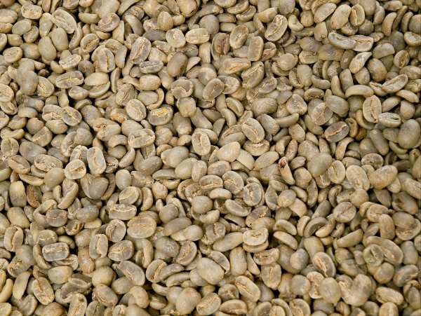 Rohkaffee - Mexico Maragogype