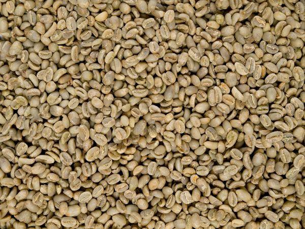 Rohkaffee - Aethiopischer Mocca Sidamo