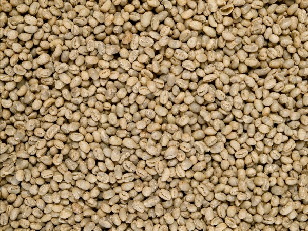 Rohkaffee - Kenia Perlbohne