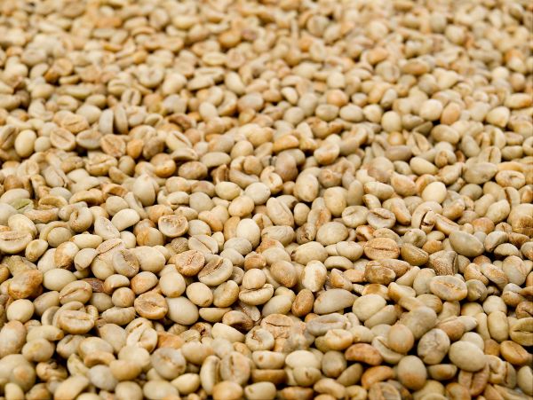 Rohkaffee - India Robusta Parchment