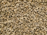 Rohkaffee - Nicaragua Talia Extra AAA